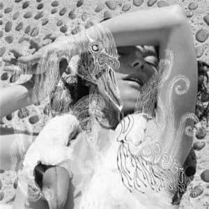 Bjork - Vespertine CD