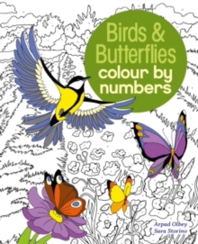 Birds & Butterflies Colour by Numbers Paperback / softback