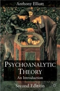Psychoanalytic Theory by Anthony Elliott Paperback