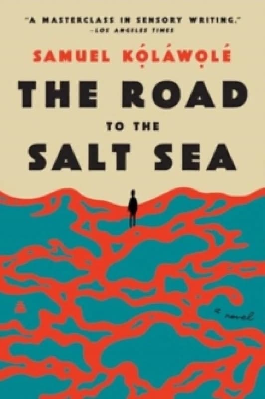The Road to the Salt Sea. Paperback. By Samuel Oluwatosin Kolawole Books