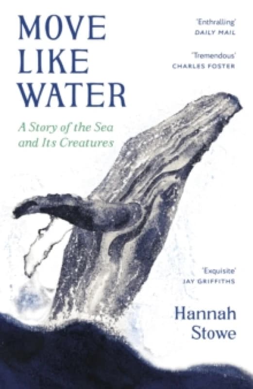 Move Like Water : A Story of the Sea and Its Creatures Paperback / softback
