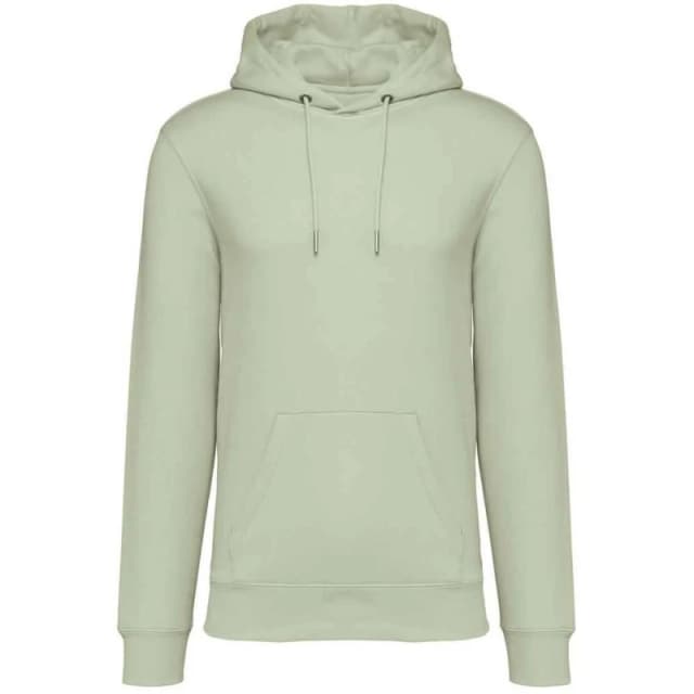 Native Spirit PC5121 womens Sweatshirt in Green