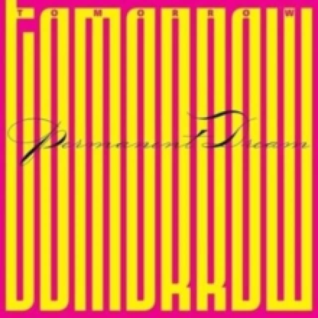 Permanent Dream Vinyl