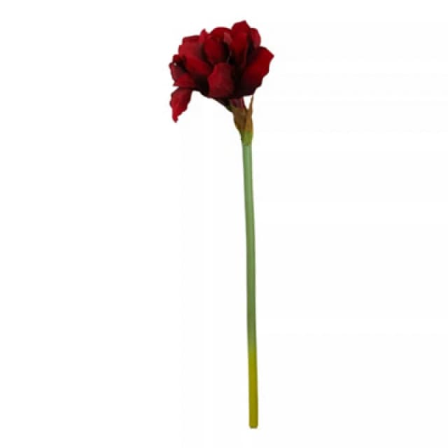 Premier Housewares Fiori Artificial flowers 72cm Amarylilis Stem Ivory Flower Red