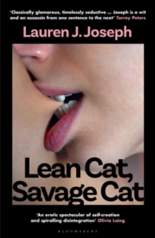 Lean Cat, Savage Cat Hardback