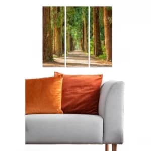 MDF2215317 Multicolor Decorative MDF Painting (3 Pieces)