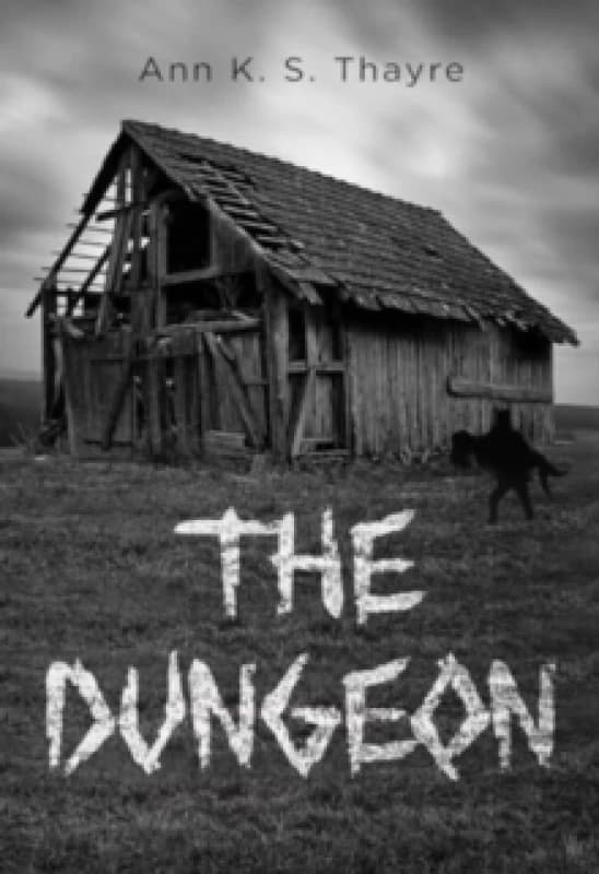 The Dungeon Paperback / softback