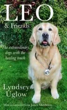 Leo & friends - Lyndsey Uglow - Hardback - Used