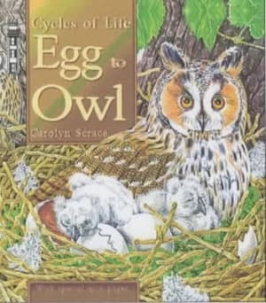 Egg to Owl by Carolyn Franklin Paperback