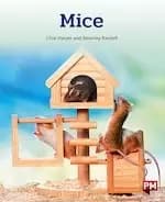 PM Orange: PM Orange: Mice (PM Non-fiction) Level 15/16