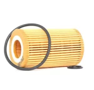 RIDEX Oil filter 7O0119 Engine oil filter RENAULT,TWINGO I (C06_),CLIO II (BB0/1/2_, CB0/1/2_),KANGOO (KC0/1_),KANGOO Express (FC0/1_)