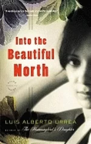 into the beautiful north a novel