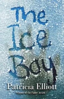 The Ice Boy by Patricia Elliott Paperback