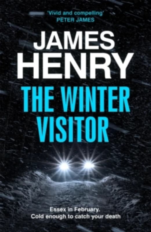 The Winter Visitor : the explosive new thriller set in the badlands of Essex Hardback