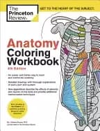 anatomy coloring workbook 4th edition an easier and better way to learn ana