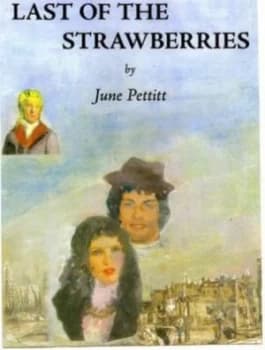 Last of the Strawberries by June Pettitt Paperback