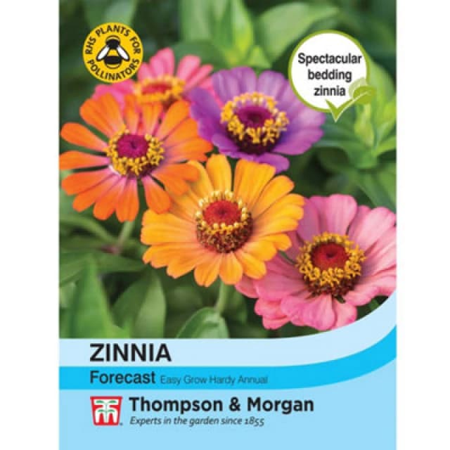 Thompson & Morgan Zinnia Elegans Forecast 1 Seed Packet (40 Seeds)