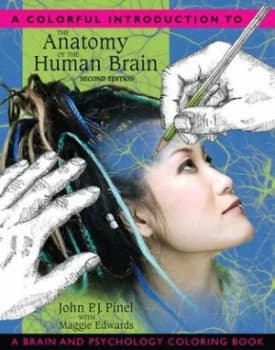 A Colourful Introduction to the Anatomy of the Human Brain by John P.J. Pinel Paperback