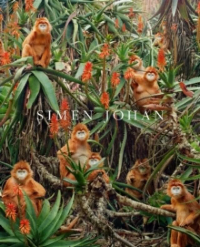 Simen Johan Hardback