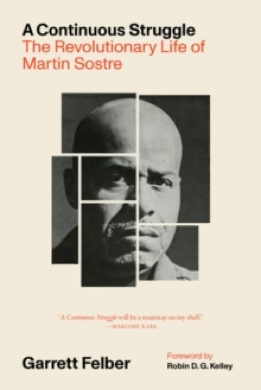 A Continuous Struggle : The Revolutionary Life of Martin Sostre Hardback