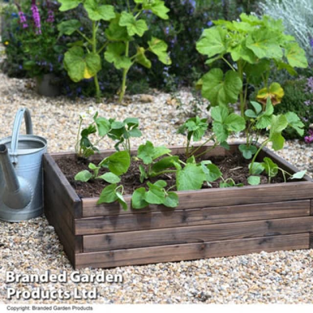 Garden Gear Wooden Raised Garden Planter Treated Fir Wood Outdoor Flower Trough Herb Vegetable Bed (Medium 80X60Cm)