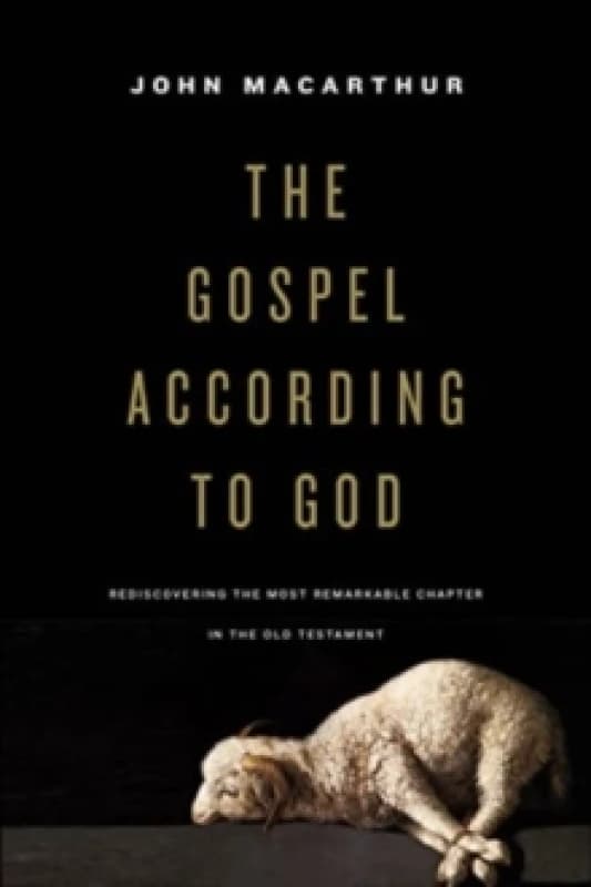 The Gospel according to God Paperback / softback