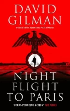 Night flight to Paris by David Gilman