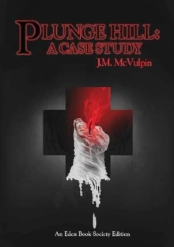 Plunge Hill : A Case Study Paperback / softback