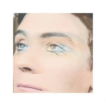 The Ruby Suns - Christopher Vinyl