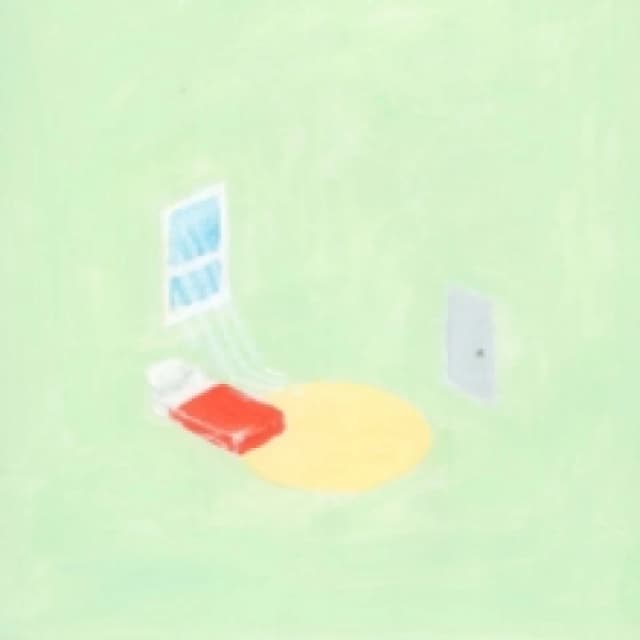 The Birds Outside Sang (10 Year Anniversary Edition) Vinyl