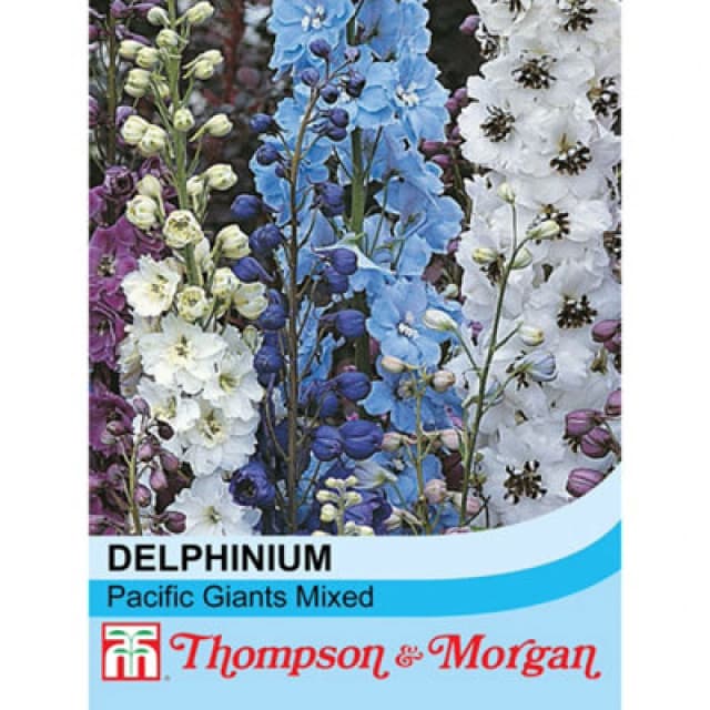 Thompson & Morgan Delphinium Hybridum Pacific Giant Mixed 1 Packet (110 Seeds)