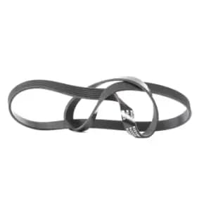 RIDEX V-ribbed belt FIAT,SUZUKI,MINI 305P0224 55203815,55203815,55203815 Serpentine belt,Auxiliary belt,Poly V-belt,Ribbed belt,Multi V-belt,Poly belt