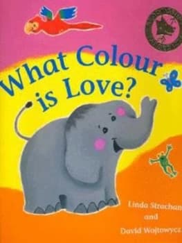 What Colour Is Love by Linda Strachan Paperback