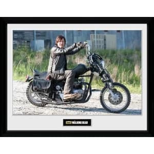 The Walking Dead Daryl Bike Collector Print