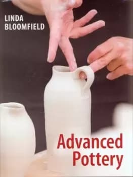 Advanced pottery by Linda Bloomfield