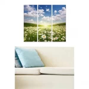 MDF89336530 Multicolor Decorative MDF Painting (3 Pieces)