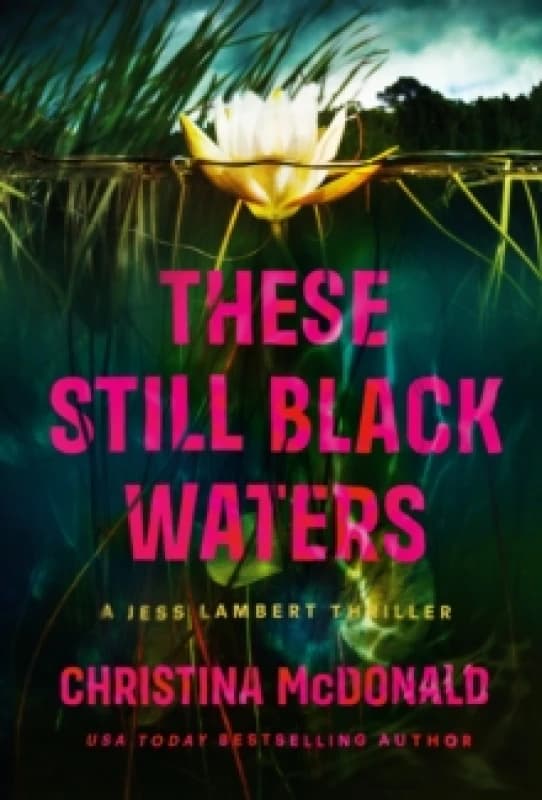 These Still Black Waters Paperback / softback