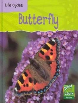 Butterfly by Louise Spilsbury Hardback