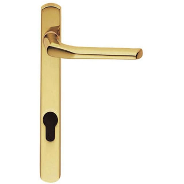 Loops Straight Lever Door Handle on Lock Backplate Polished Brass 208mm X 25mm Metallics
