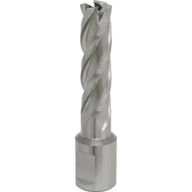 Loops 15mm x 50mm Depth Rotabor Cutter - M2 Steel Annular Metal Core Drill 19mm Shank Metallics