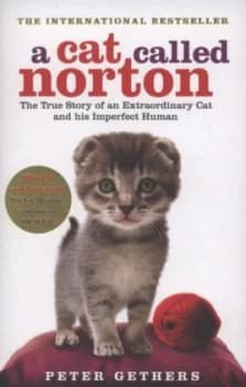 A Cat Called Norton by Peter Gethers Paperback