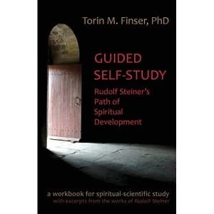 Guided Self-Study by Torin M. Finser (Paperback, 2015)