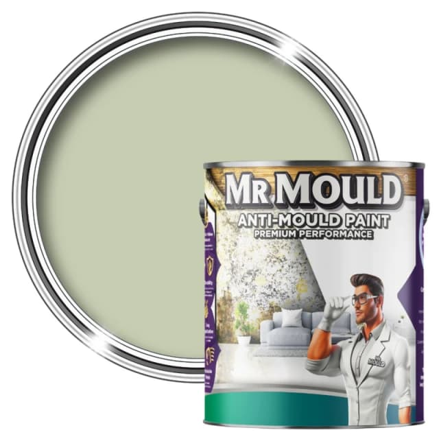 MR MOULD Anti-Mould Paint - 1L - Best Anti Mould Protection Paint for all Interior Walls & Ceilings in Sage Green Sage Green Unisex 1L
