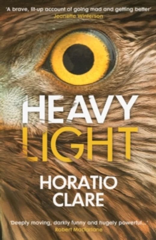 Heavy Light : A Journey Through Madness, Mania and Healing Paperback / softback
