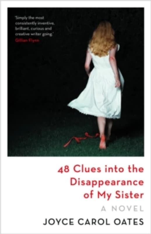 48 Clues into the Disappearance of My Sister Paperback / softback