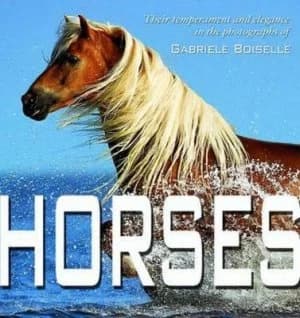 Horses by Gabriele Boiselle Hardback