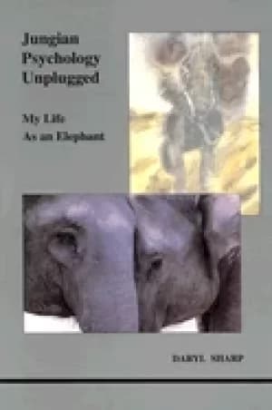 jungian psychology unplugged