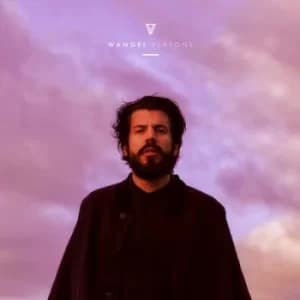 Reasons by Wangel CD Album