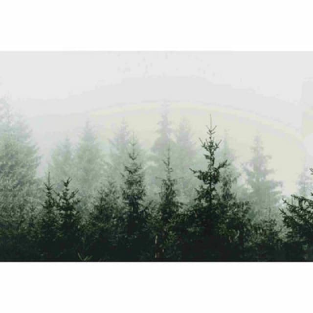 AS Creation Mountain Forest Digital Mural 400cm X 270cm, Grey 419873