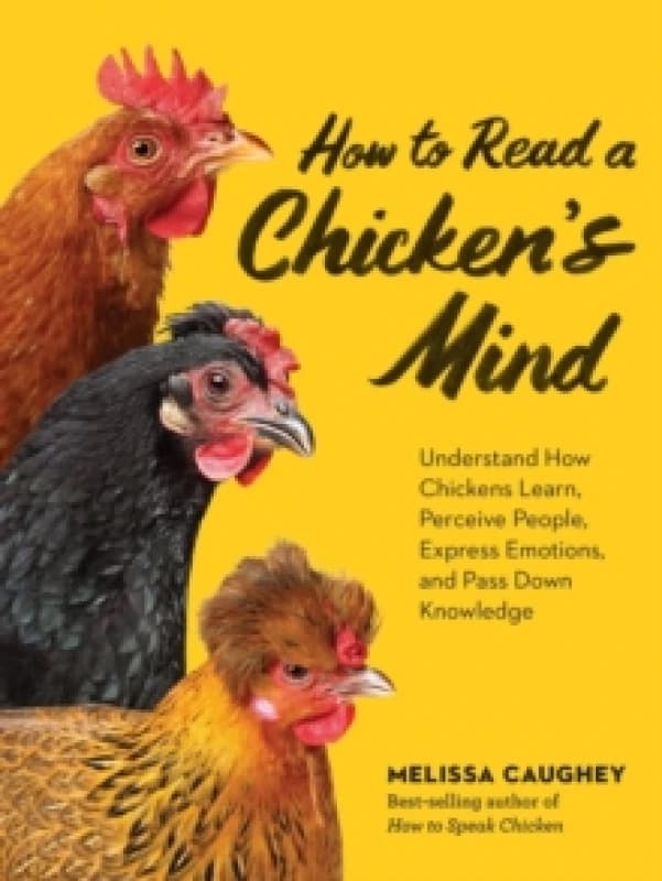 How to Read a Chicken's Mind : Understand How Chickens Learn, Perceive People, Express Emotions, and Pass Down Knowledge Paperback / softback